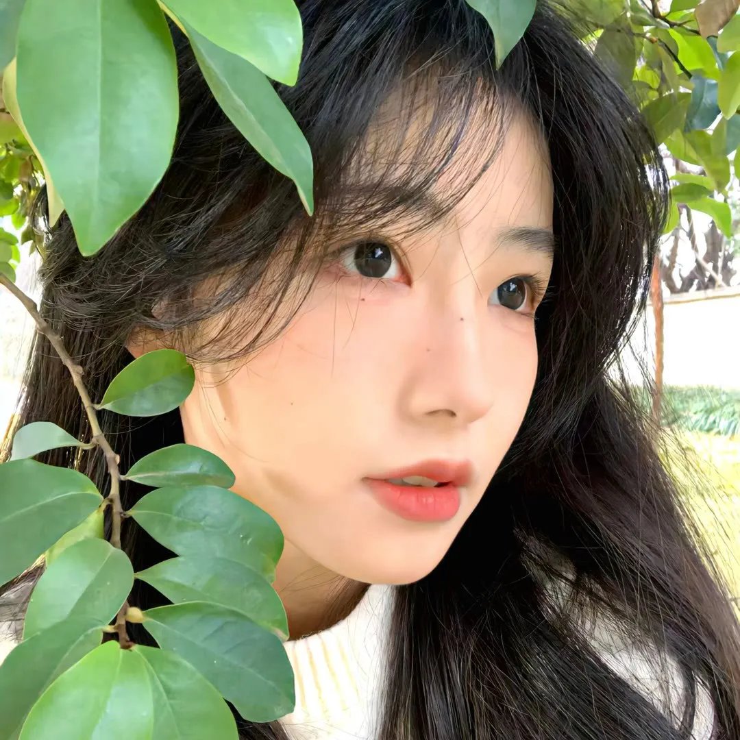 新富贵荣华